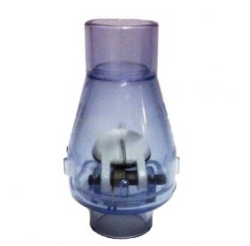 Swing Check Valve, Clear - 2 inch