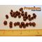 Cichlid Pellet XL 20 lbs